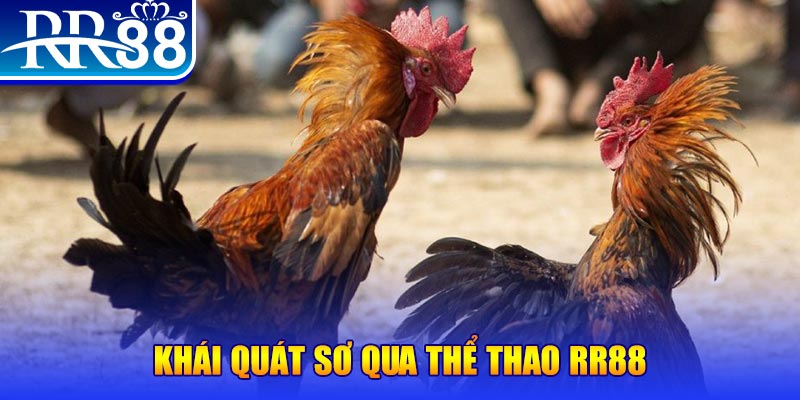 qh215 casino là gì