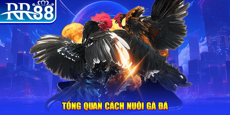 79king1 casino TRỰC TUYẾN