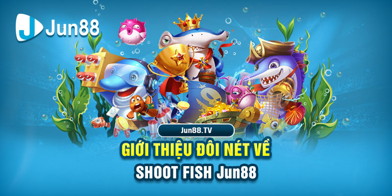 top bayvip sòng bạc Đăng nhập