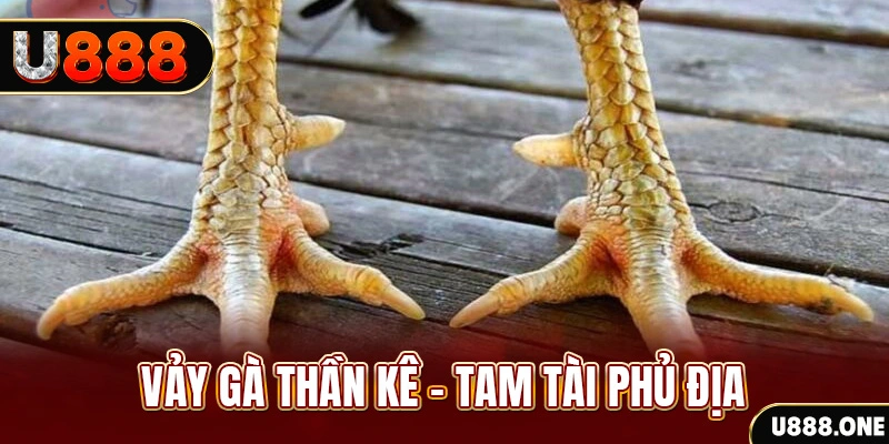 579king casino tỷ lệ bóng đá