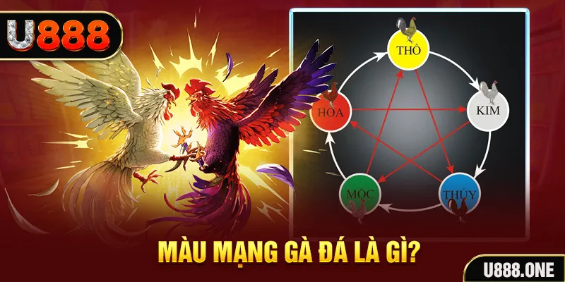 88 club casino Sòng bạc