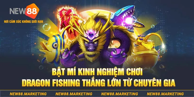 ee88 casino tỷ lệ bóng đá